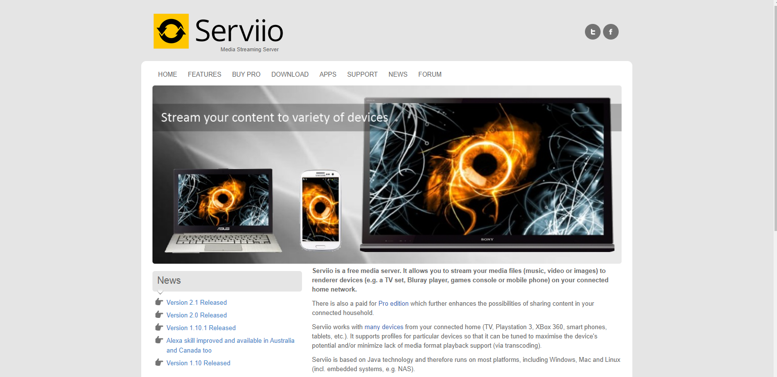 serviio media server over internet